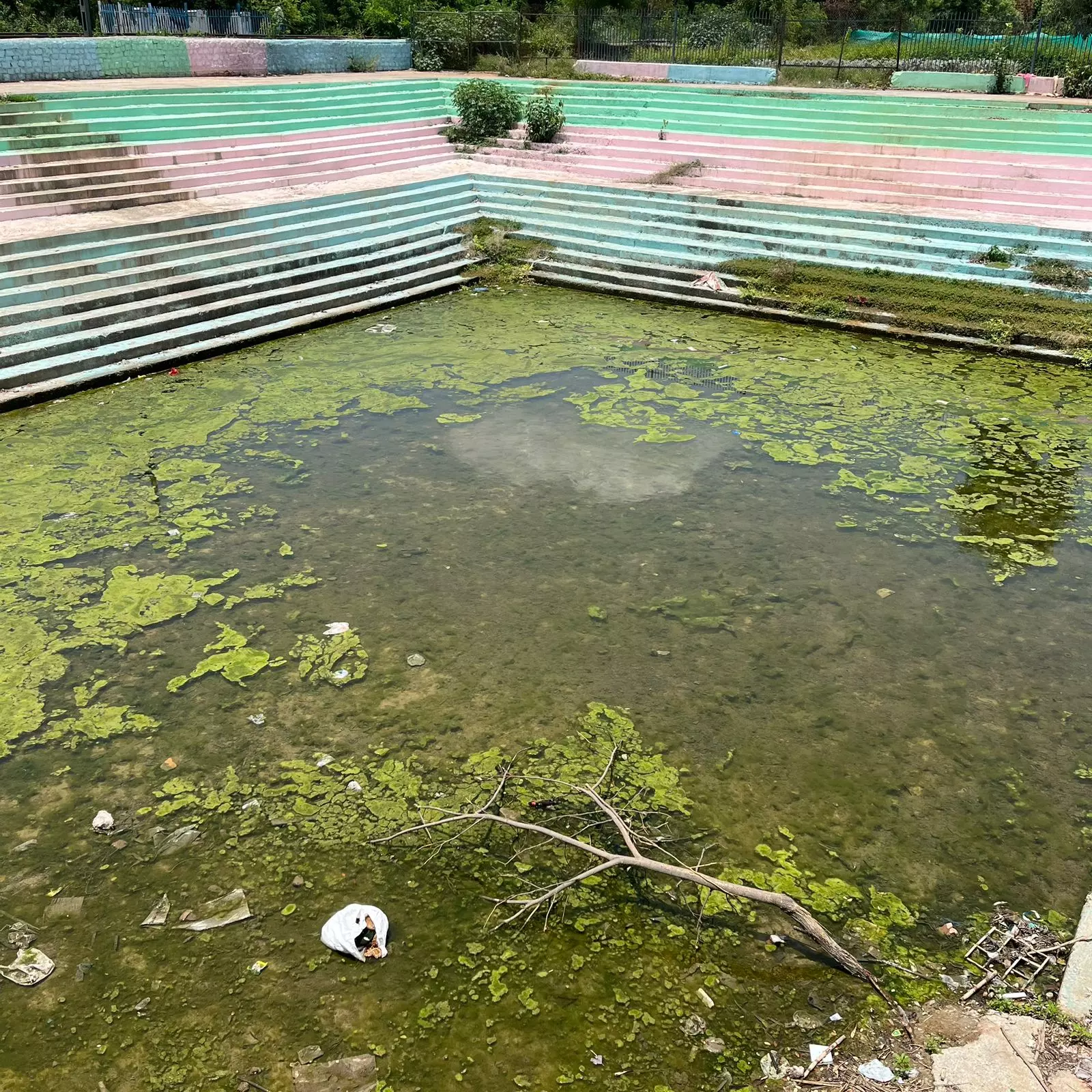 Baby ponds turn mosquito breeding hubs