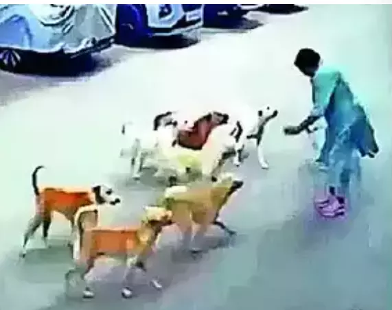 Woman escapes pack of street dogs in Hyderabad, husband posts video online to raise awareness