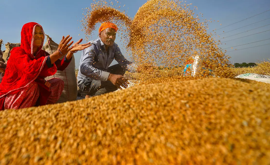 Centre imposes stock limits on wheat