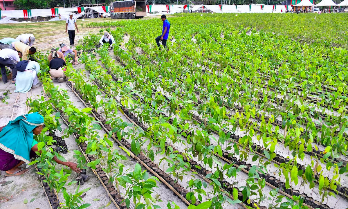 BJP to plant 5 lakh saplings for Jan Sangh founder
