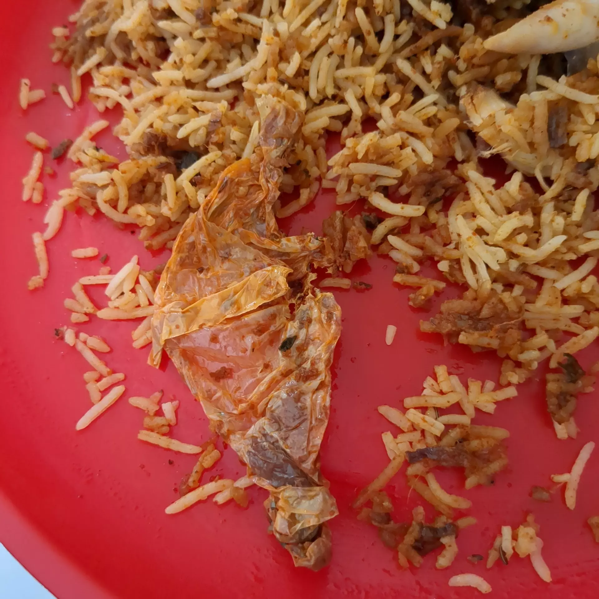 Hyderabad Customer Finds Fried Plastic Cover in Biryani