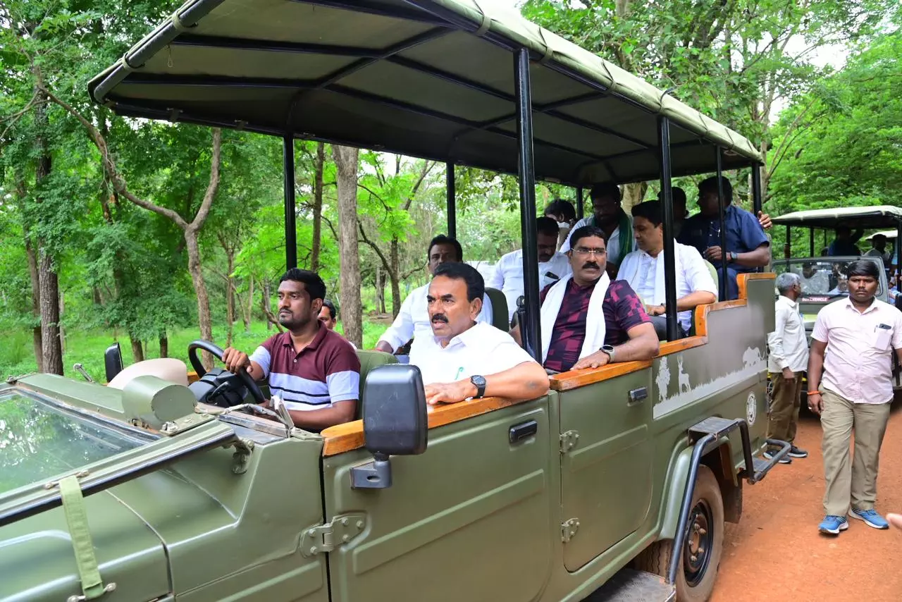 With tigers and temples, Nallamala forests set to emerge as ecotourism hub