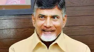 Supporters brave rain to welcome Naidu