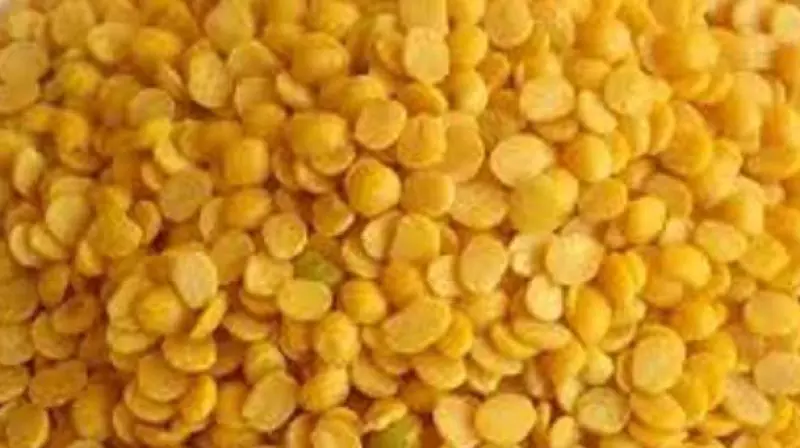 Urad prices started dipping as rainfall enhances sowing area under Kharif