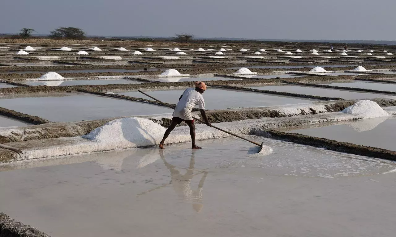 Greens Raise Concern on Overstay of Salt Unit in Bandar Port Reserve Forest