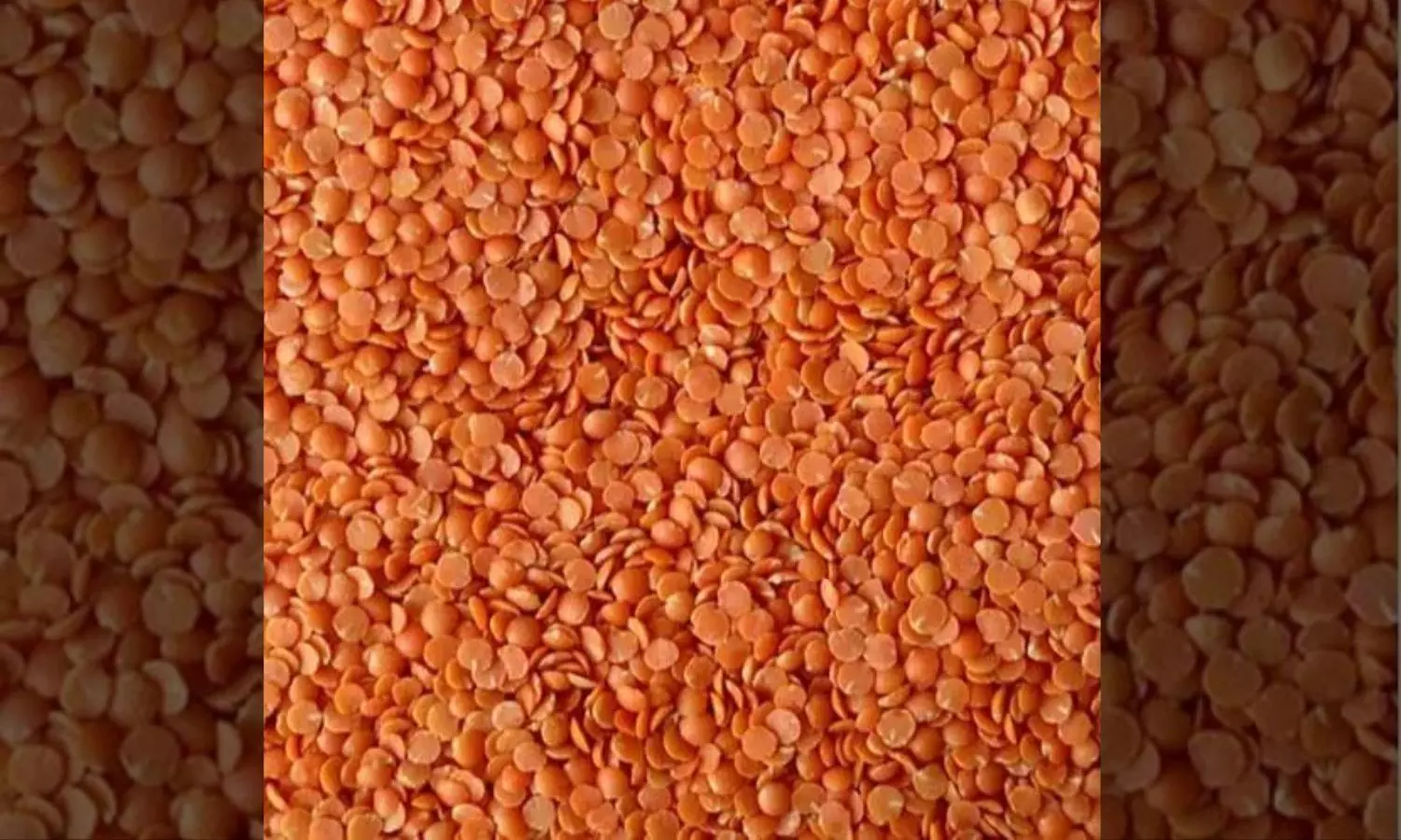 Andhra Pradesh to sell rice, dal in Rythu Bazars at low prices