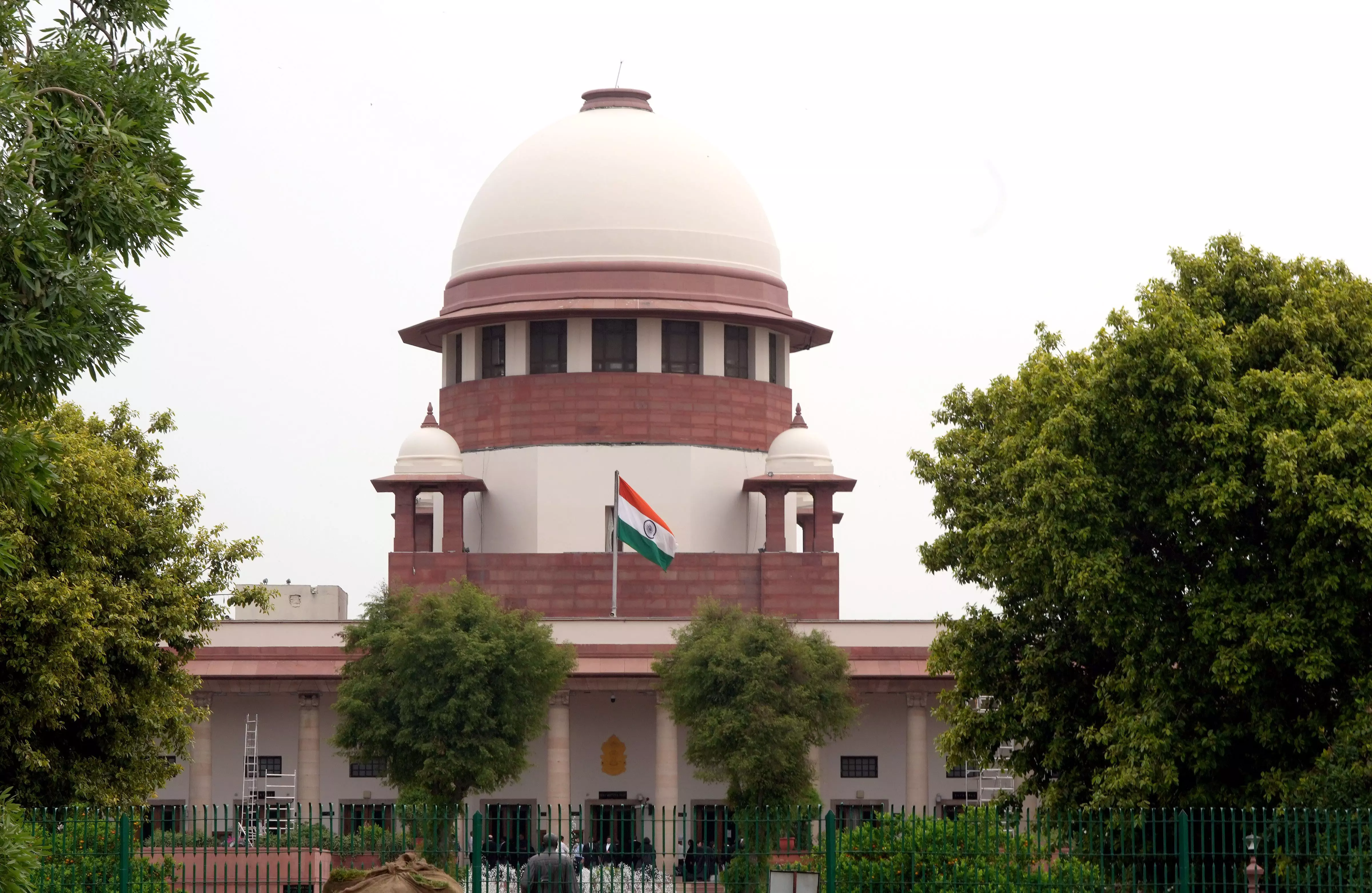 SC gives spilt verdict on pleas challenging environmental release of GM Mustard