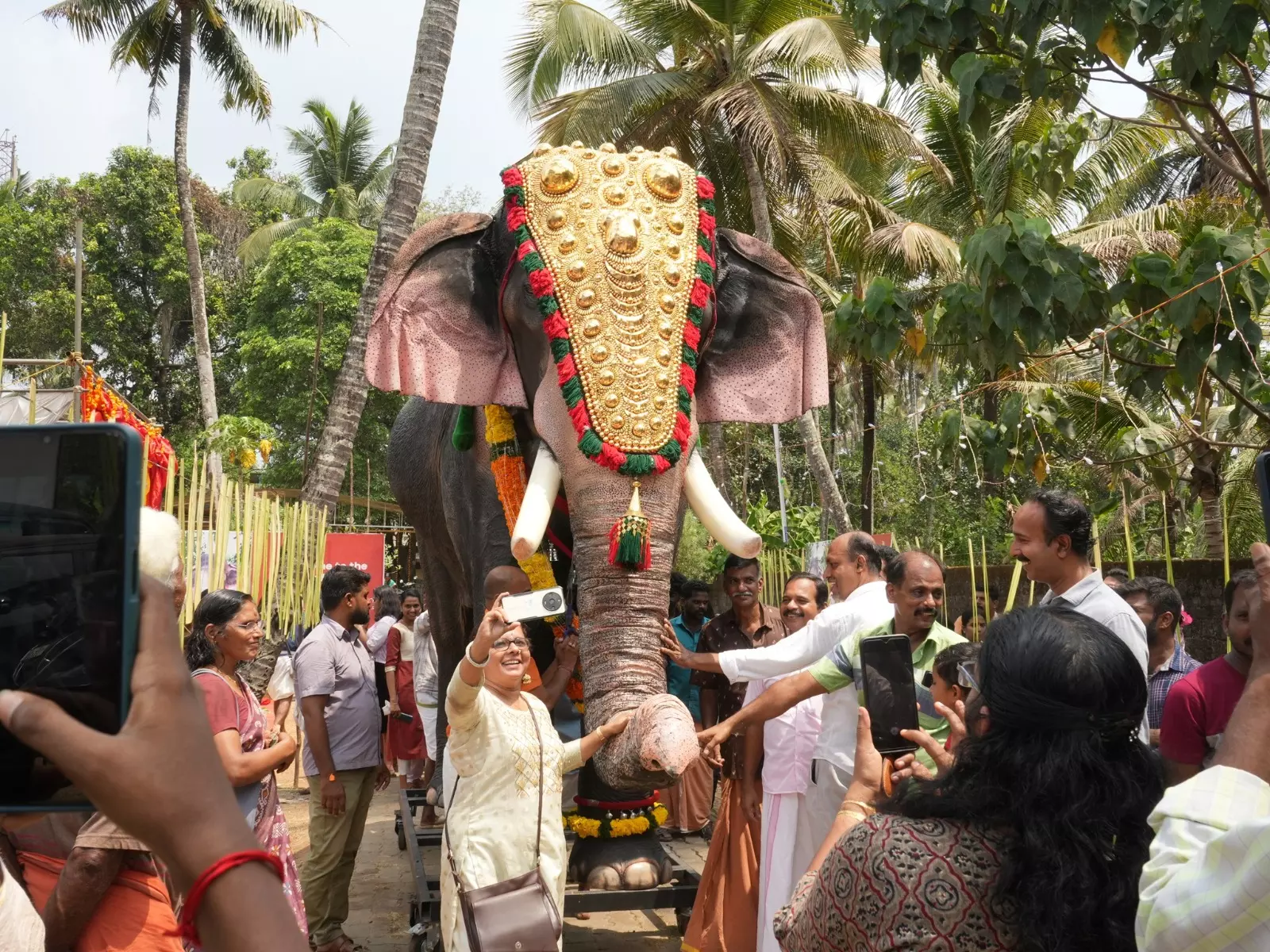 Uncertainty over elephant participation in Muharram, Bonalu processions