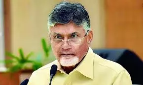 Naidu discusses issues with Maharashtra CM