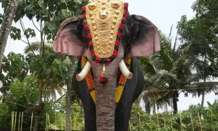 Hyderabad: Popular Elephant Rupavati to Grace Muharram and Bonalu Processions