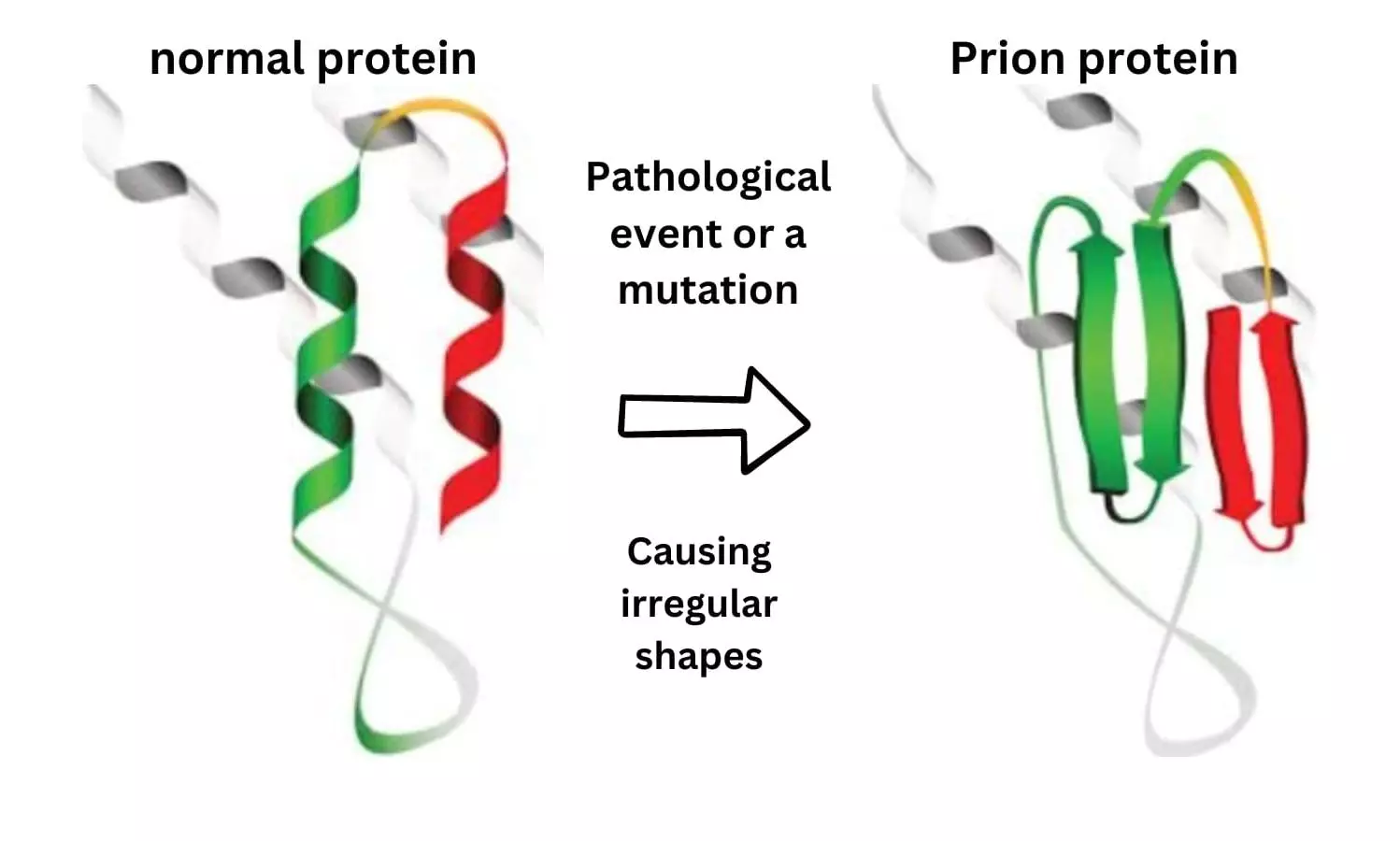 How PepFlow Can Provide Magical Cure For Many Fatal Diseases