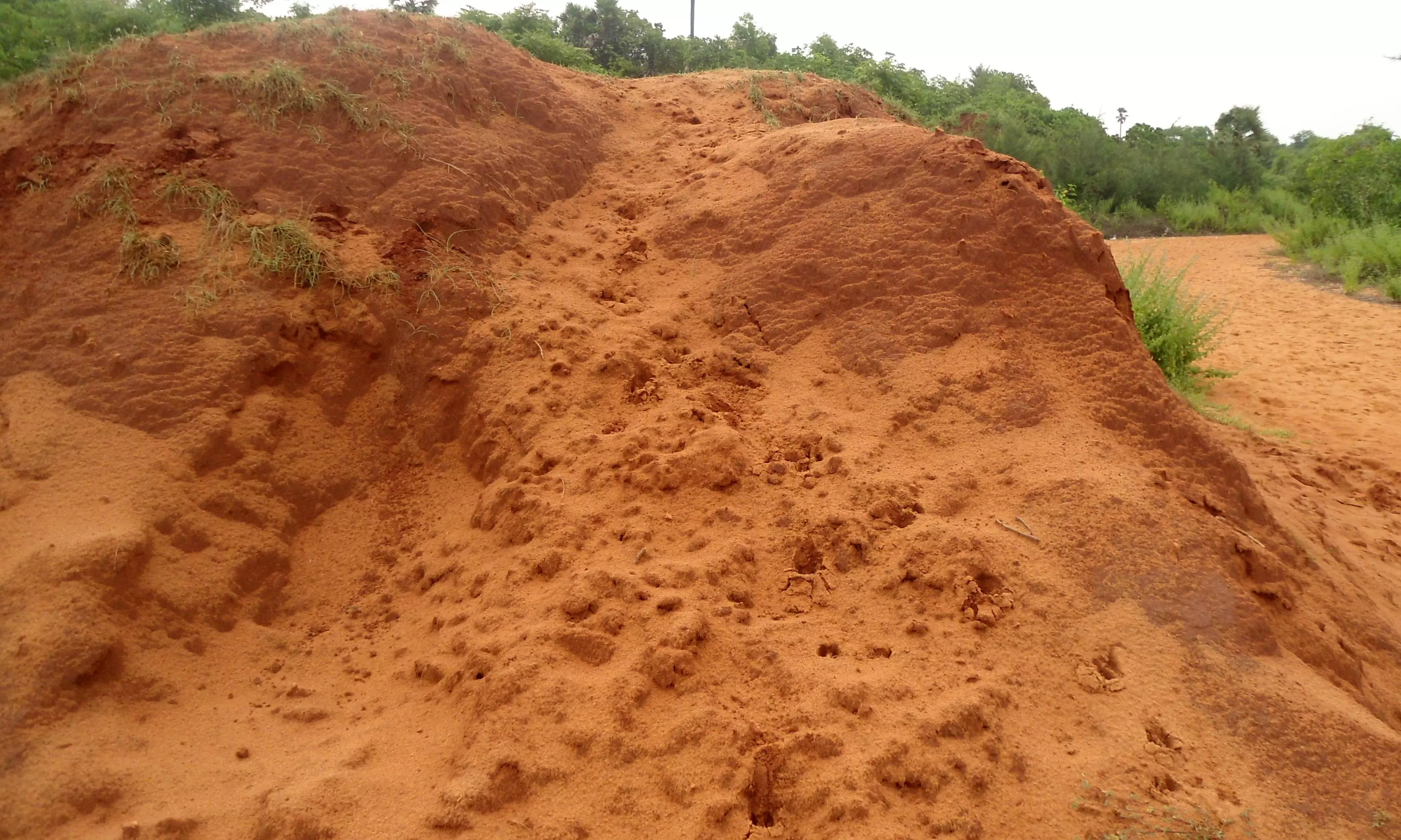 Sand to be available at 3 desiltation points in Eluru District