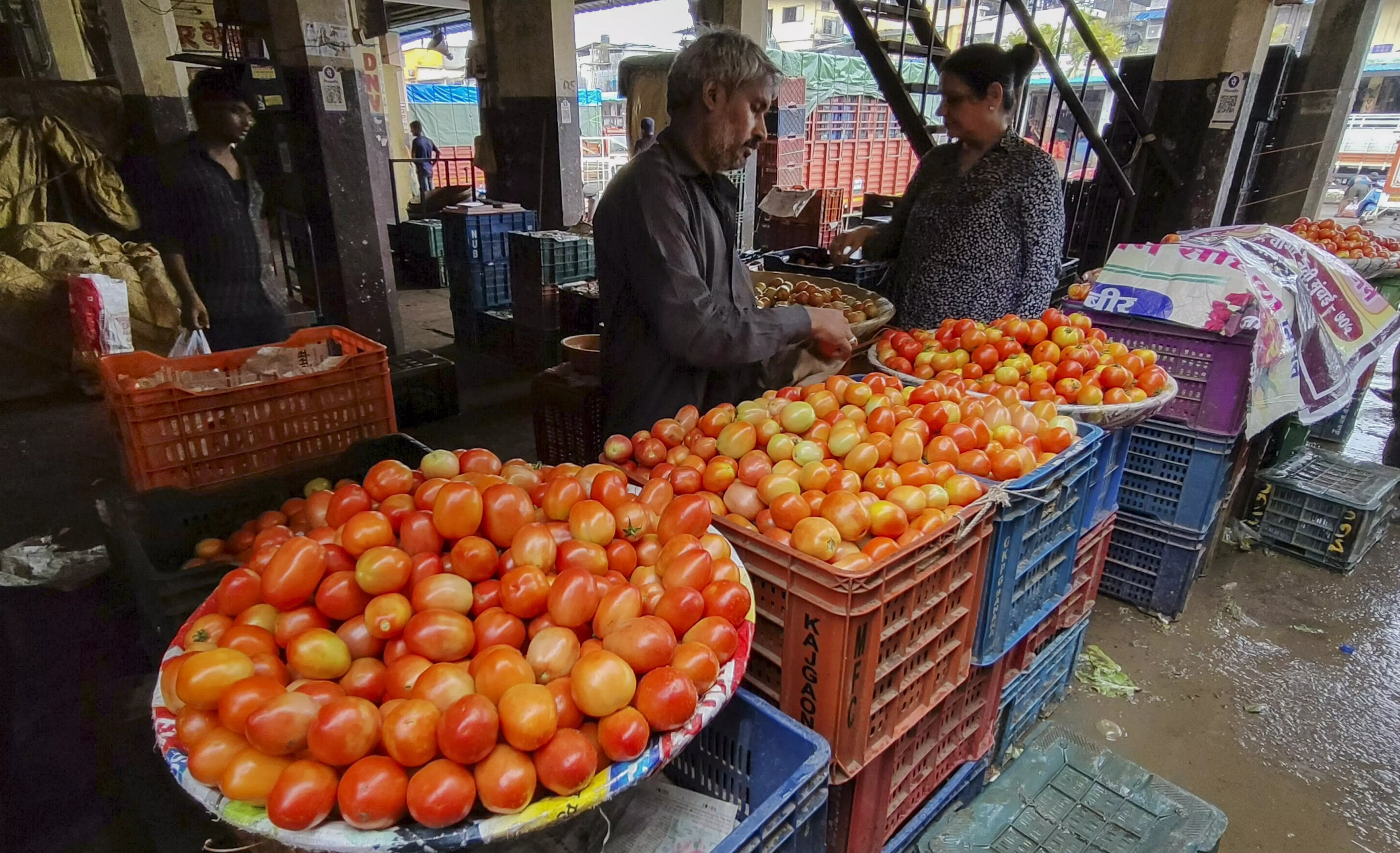 Palamaner Tomato Farmers Face Losses Due to Trader Malpractices