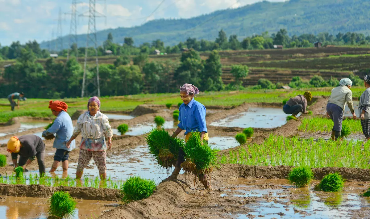 Telangana Cyber Police Warn Farmers Against Fraud Post Loan Waiver Deposits