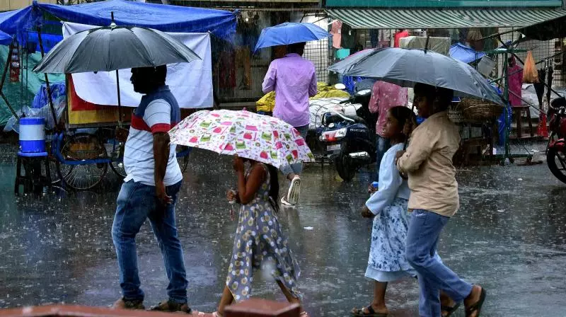 Telangana: Peddampet in Jayashankar district receives highest rainfall