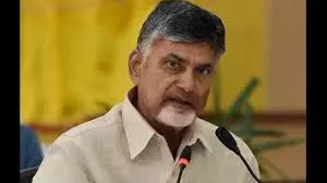 Achieve 15% growth to double Per Capita Income: CM Naidu