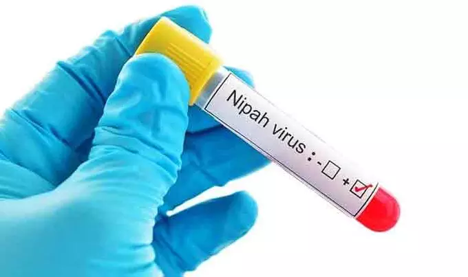 Nipah Infection Confirmed in 14-year-old Boy in Kerala: Health Minister ...