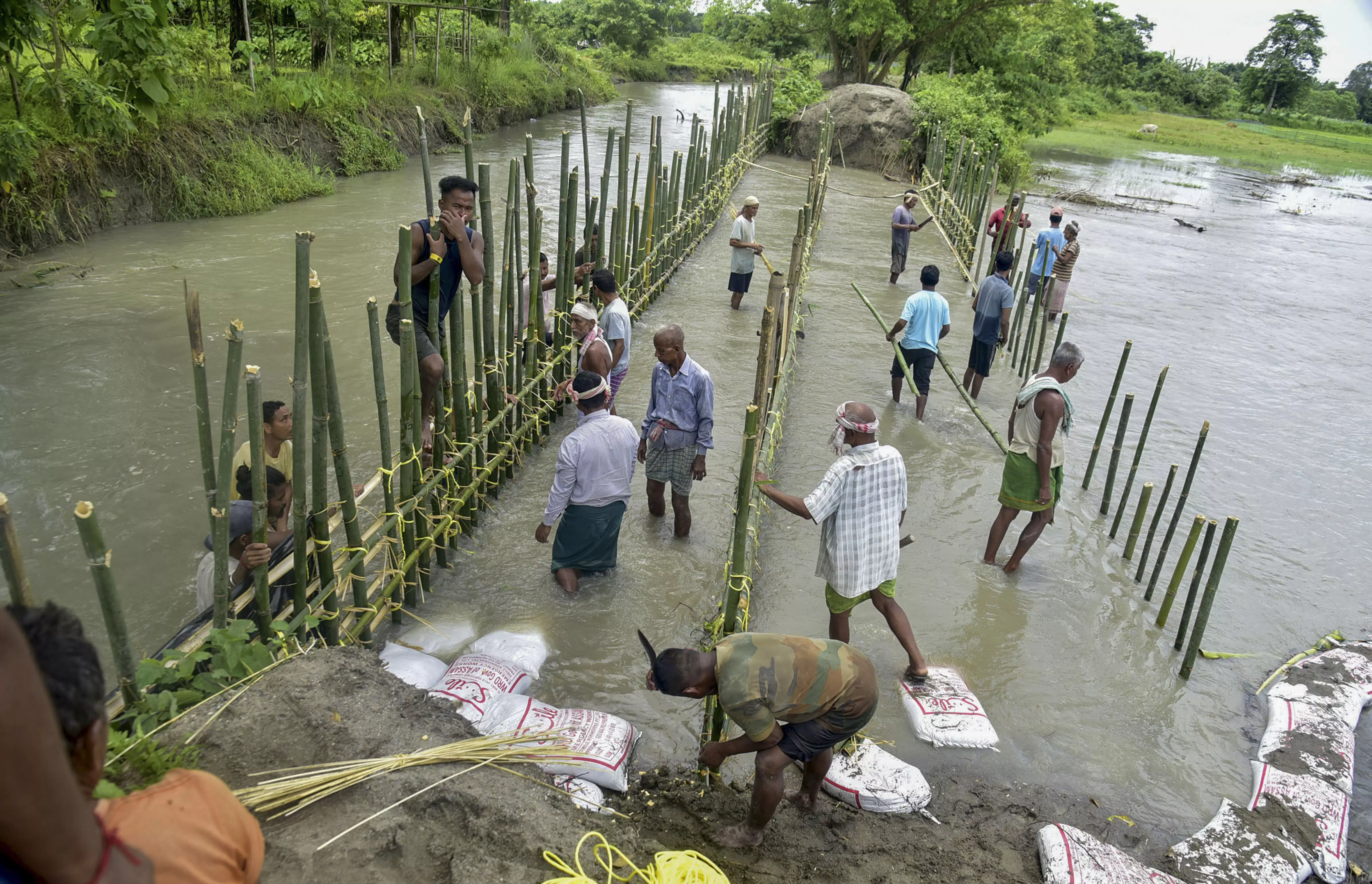 Assam floods: 1.30 lakh people affected, State urges central team for NDRF funds