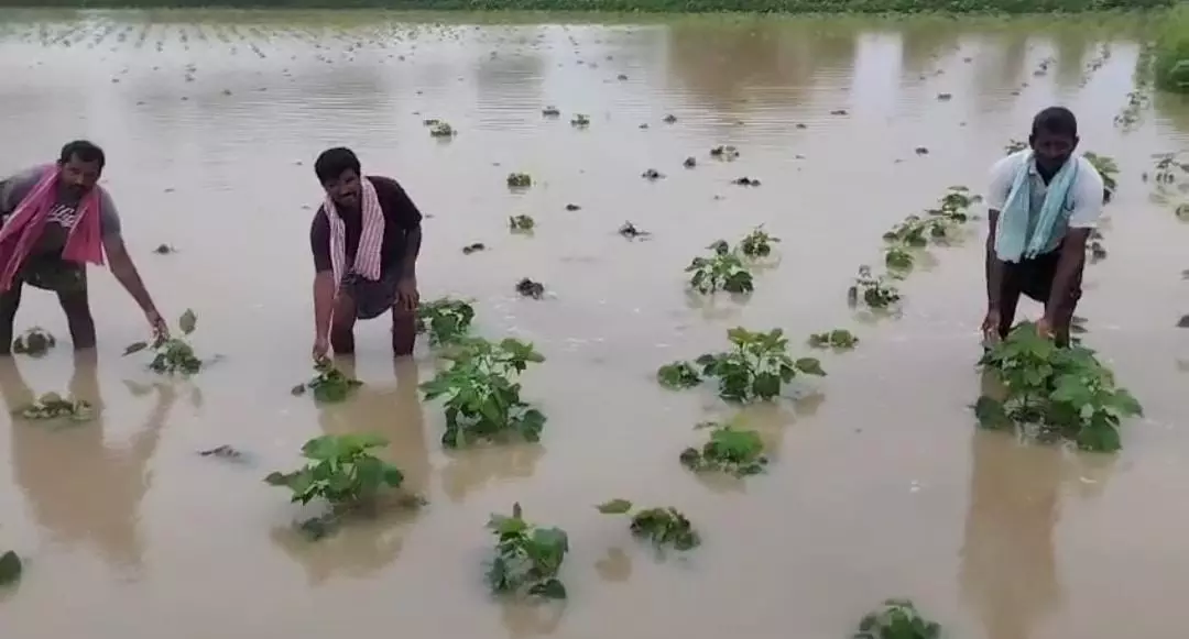 Heavy Rains Flood Major Irrigation Projects in Telangana