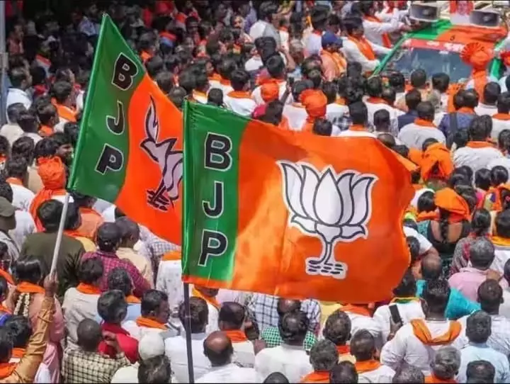 BJP to Field Young Faces in Haryana Assembly Polls to Beat Anti-incumbency