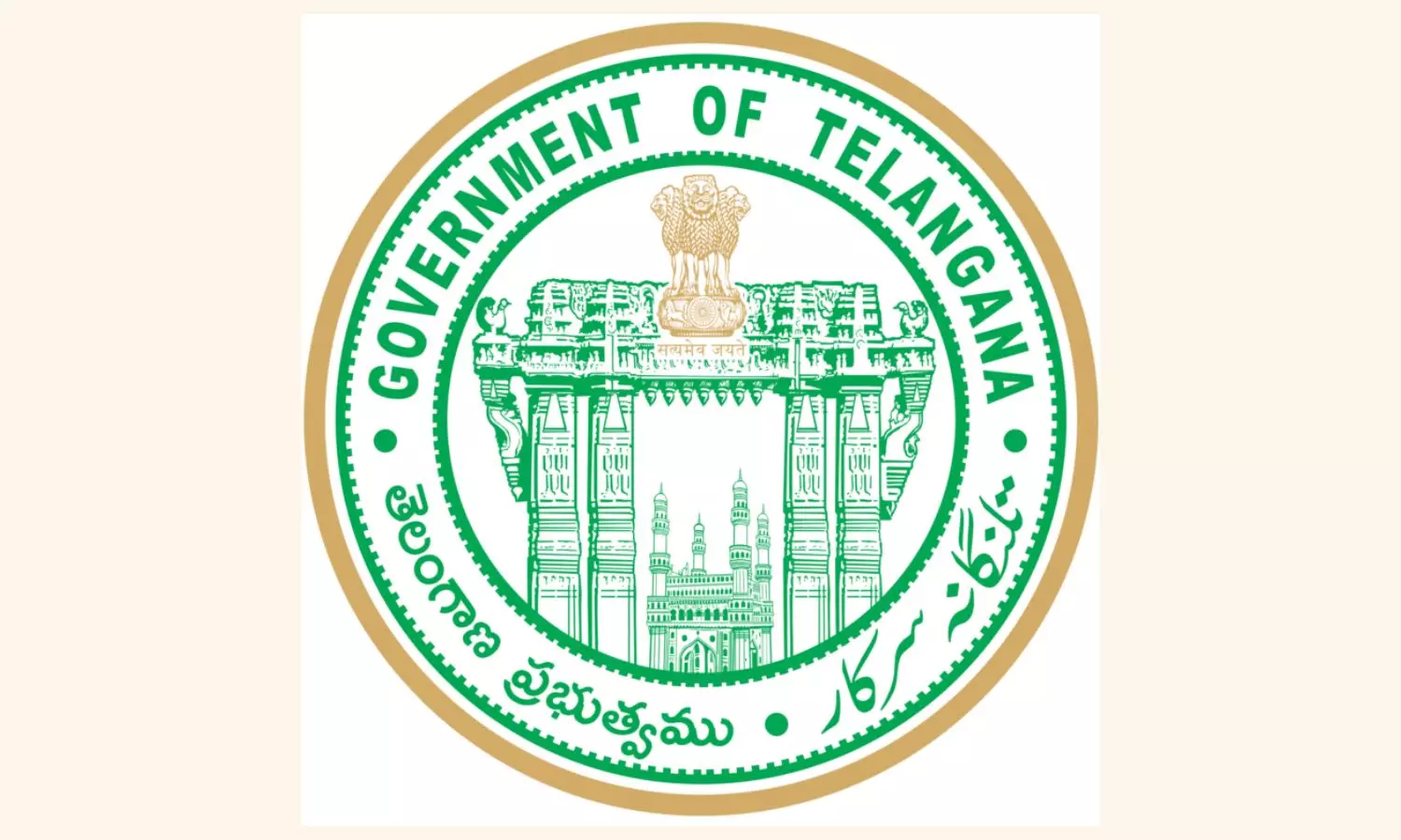 Telangana Health dept. issues health advisory asking people to safeguard in monsoon