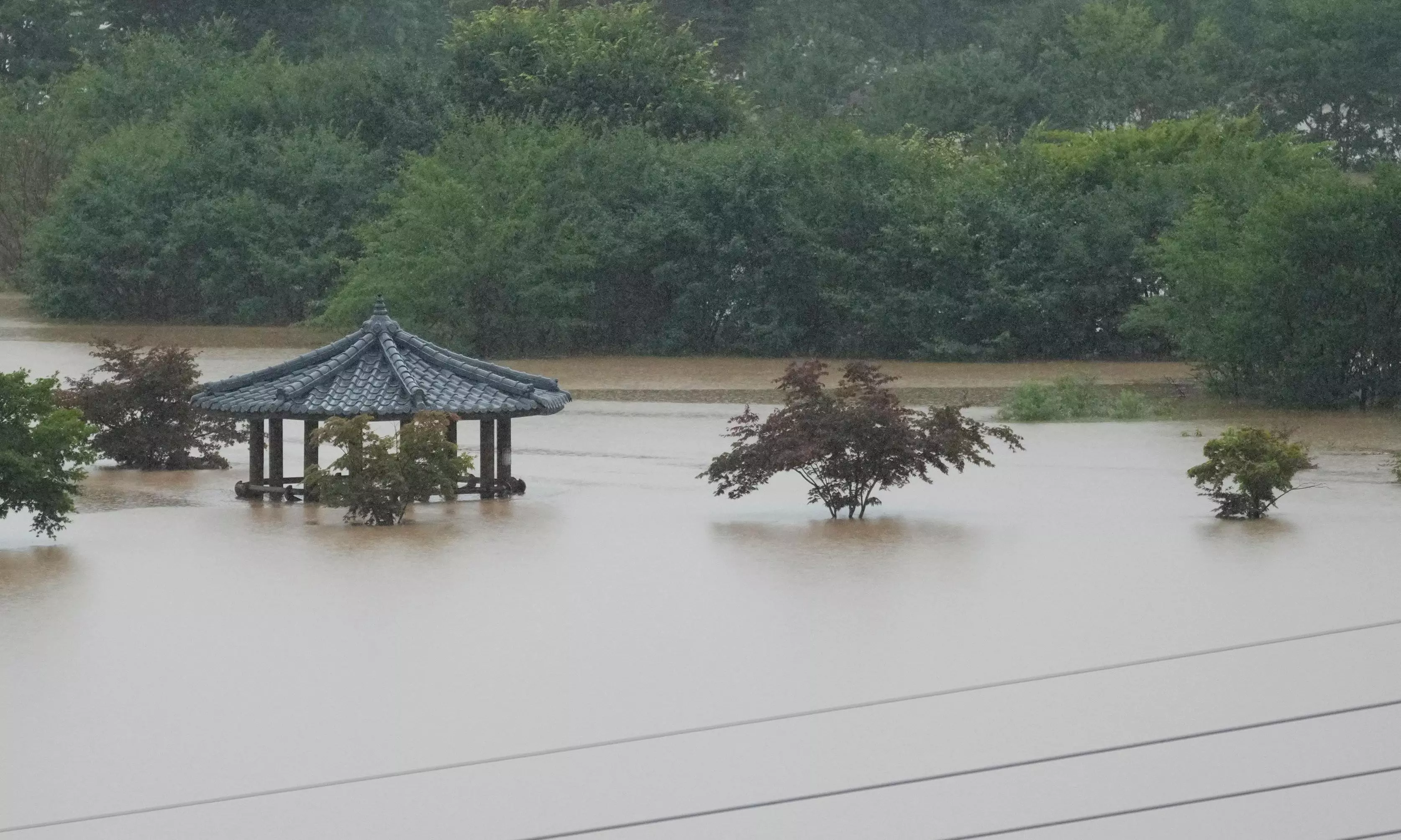 Red Cross Rushes Relief to Flood-ravaged Tribal Areas in Andhra Pradesh