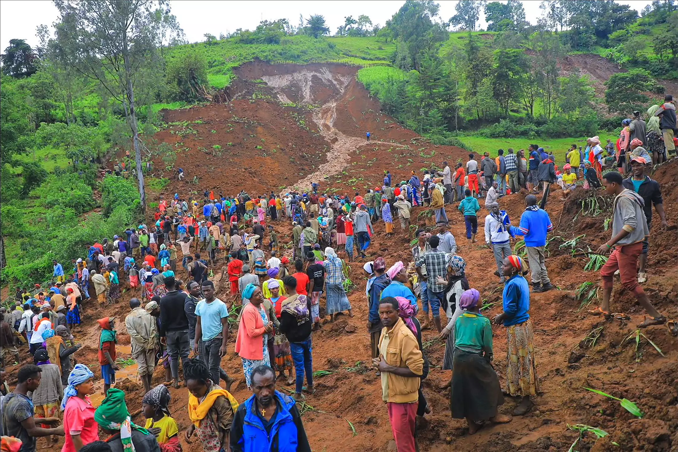 Death Toll from Ethiopia Landslide Rises to 229