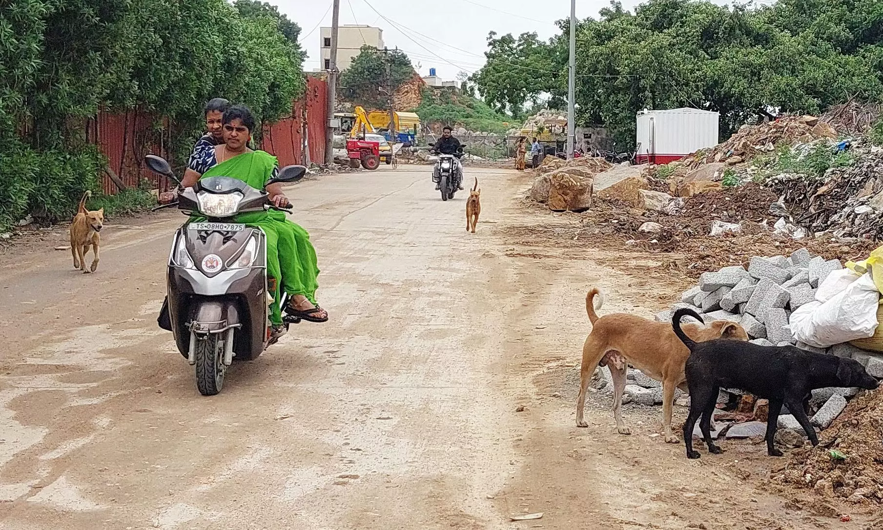 Hyderabad: ‘Kill Dogs’ Proposal Invites Flak From Activists