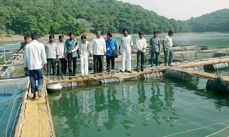 Union Budget to Boost AP’s Aqua Sector, Say Breeders