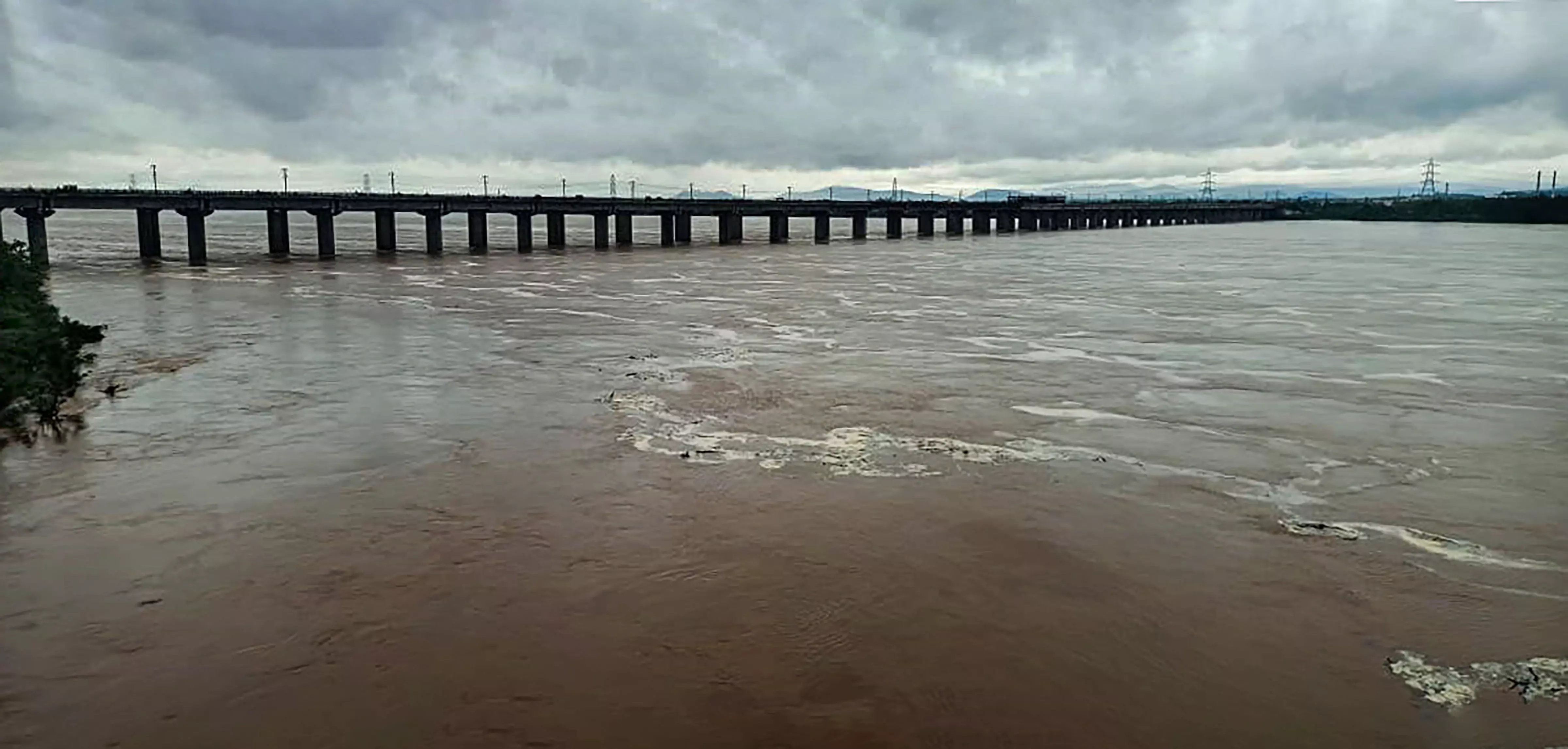 Godavari water discharge records at 14.36 L cusecs at Cotton Barrage