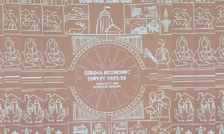 Amid Chaos, Economic Survey Tabled in Odisha Assembly