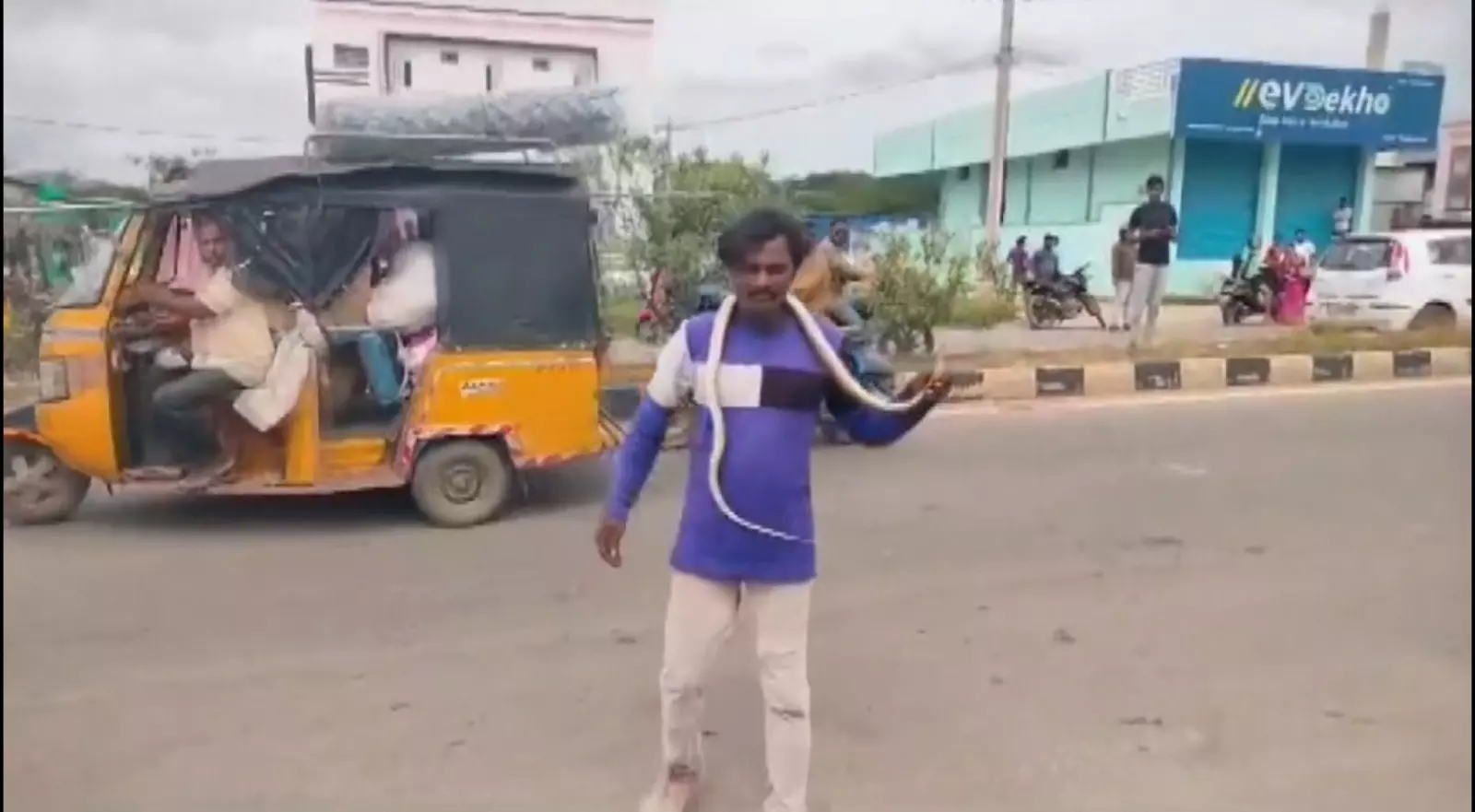 Watch Video: Inebriated man plays with snake on road in Anantapur