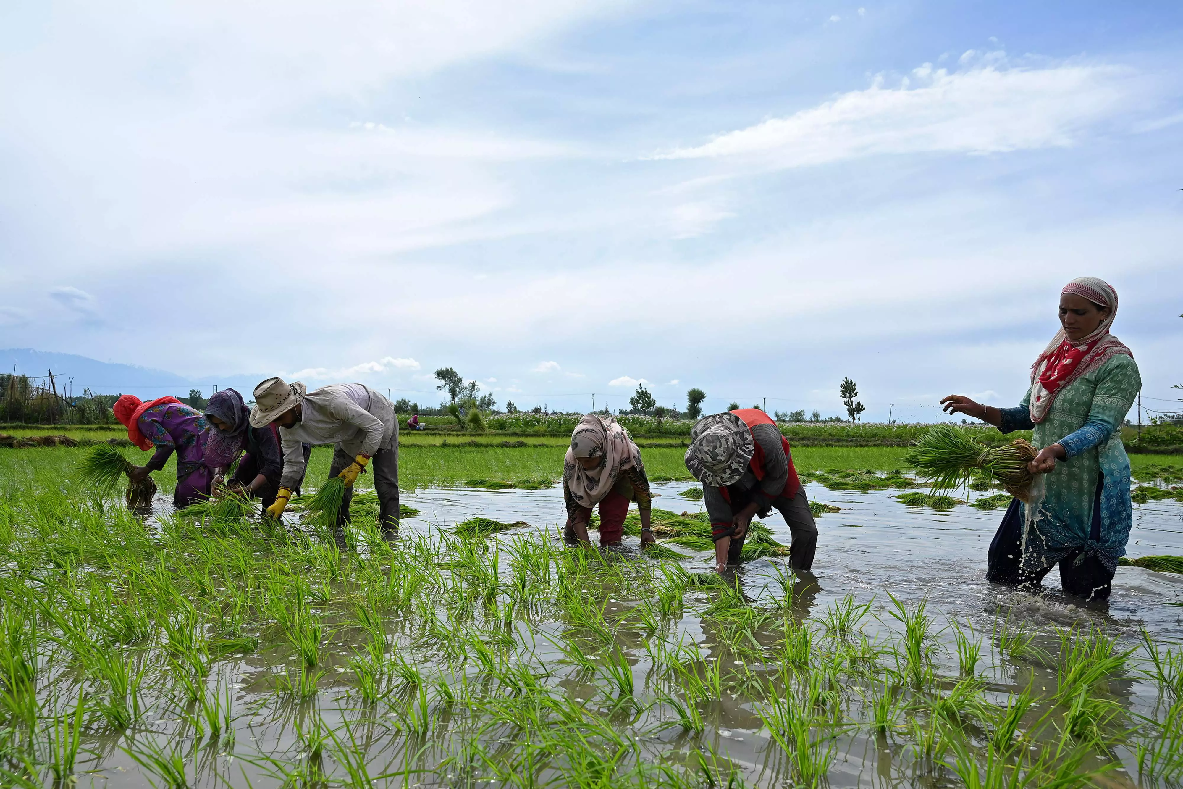 Telangana Farmers Urge for Effective Debt Relief Commission Amidst Crisis