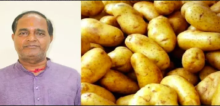 Odisha Caps Potato Prices at Rs 32 Amid Price Surge