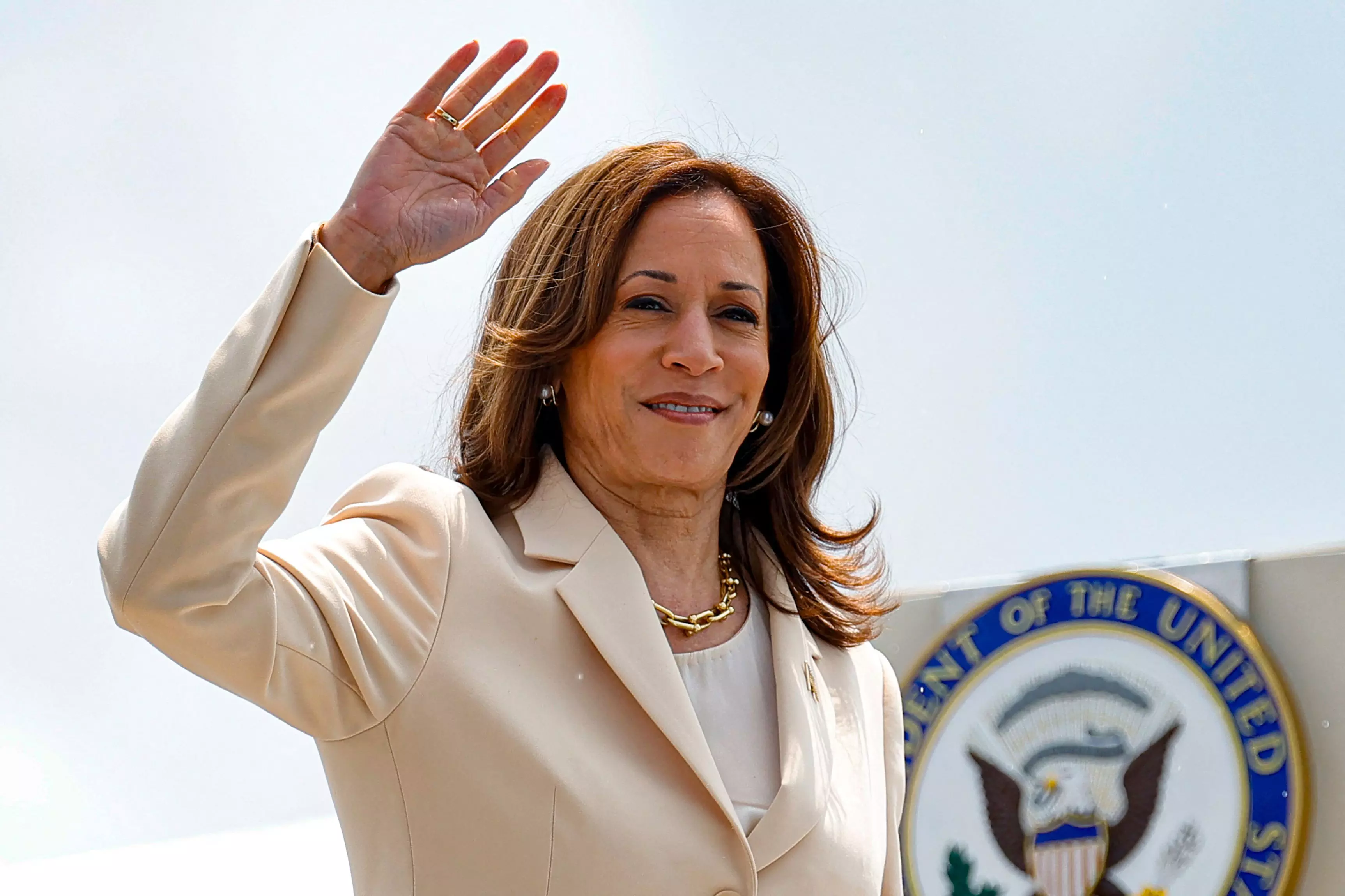 Farrukh Dhondy | What Kamala has to do to put The Donald on the mat, and make history!