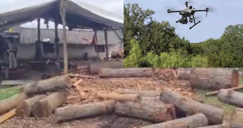 Odisha forest officials use drone technology to arrest timber mafia