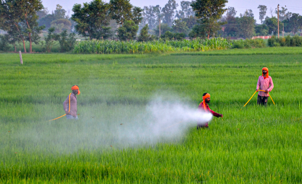 LB Nagar Counterfeit Pesticides Raid Exposes Fraud Impacting Agriculture Sector