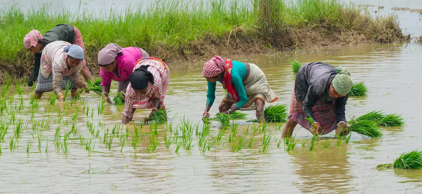 Four Farmers from AP Bag ISHA Foundation Awards