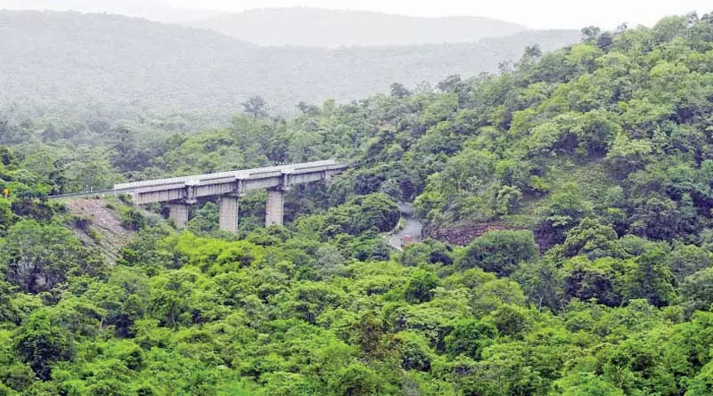 Andhra Pradesh: Trained Elephants to Patrol Nallamala Forest Soon