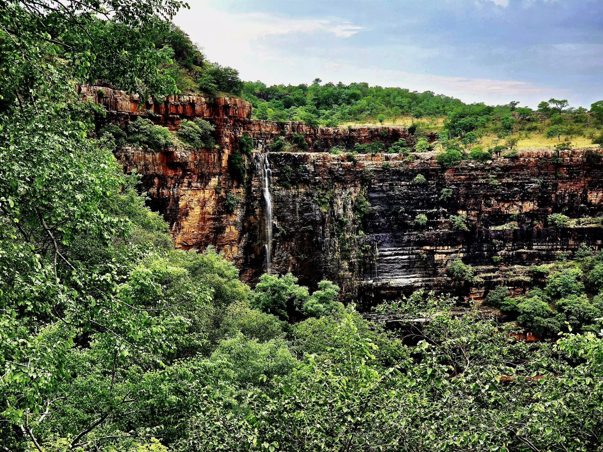 Andhra Pradesh: Ban on Visiting Tourist Spots, Temples in Nallamala Till Aug. 31