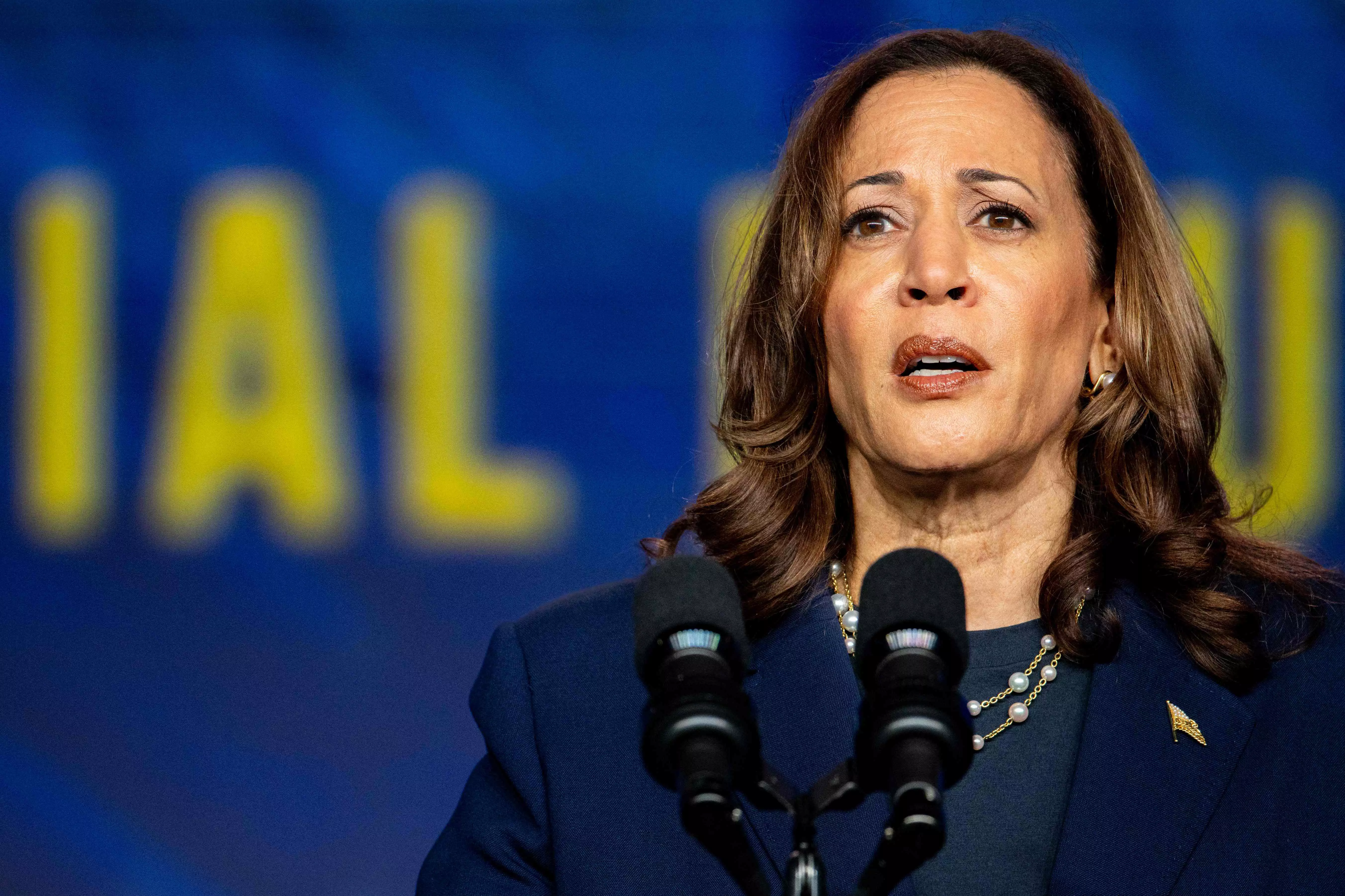 K.C. Singh | Kamala entry opens race: Dems cheer, GOP in a fix