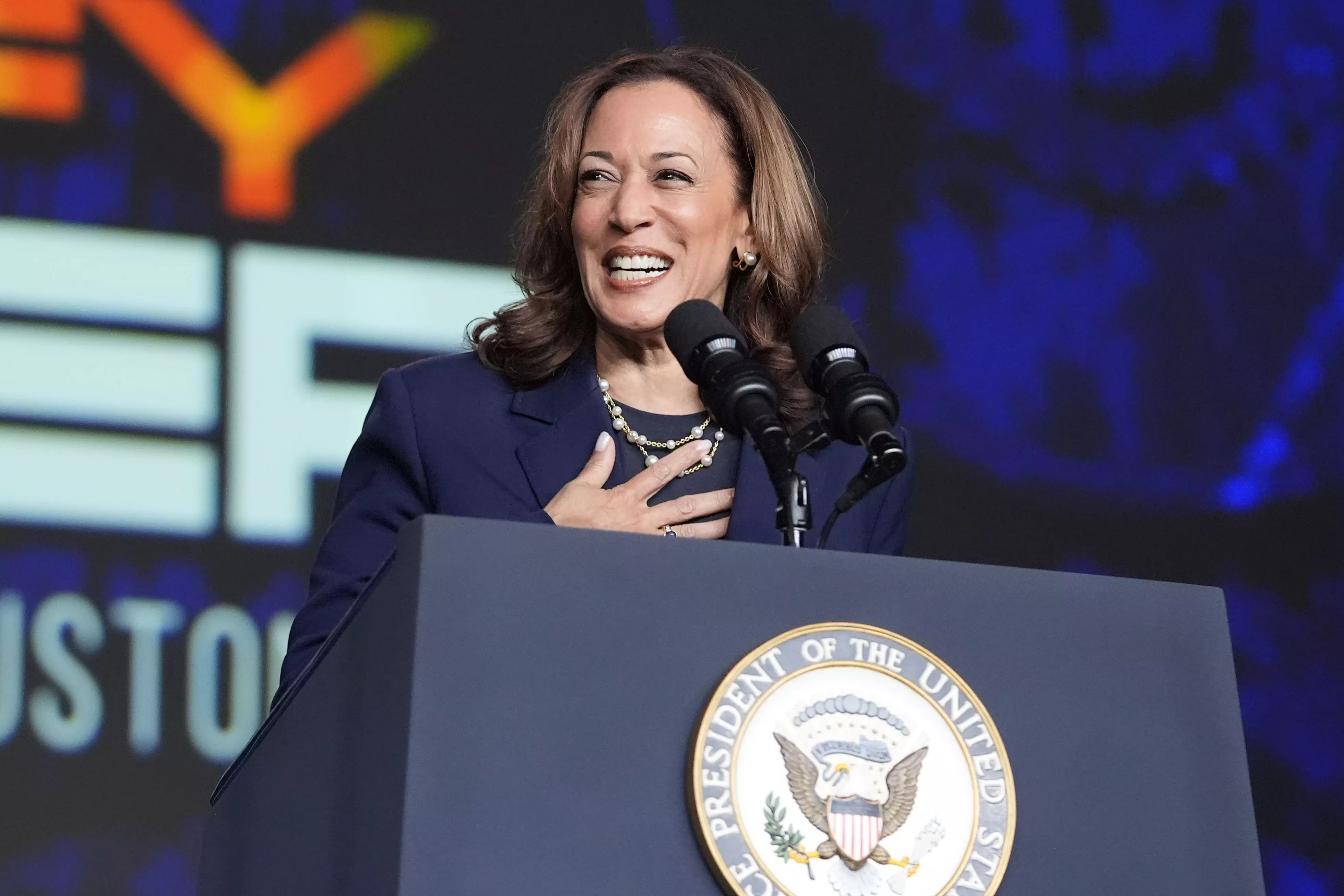 Kamala Harris secures Democratic US presidential nomination