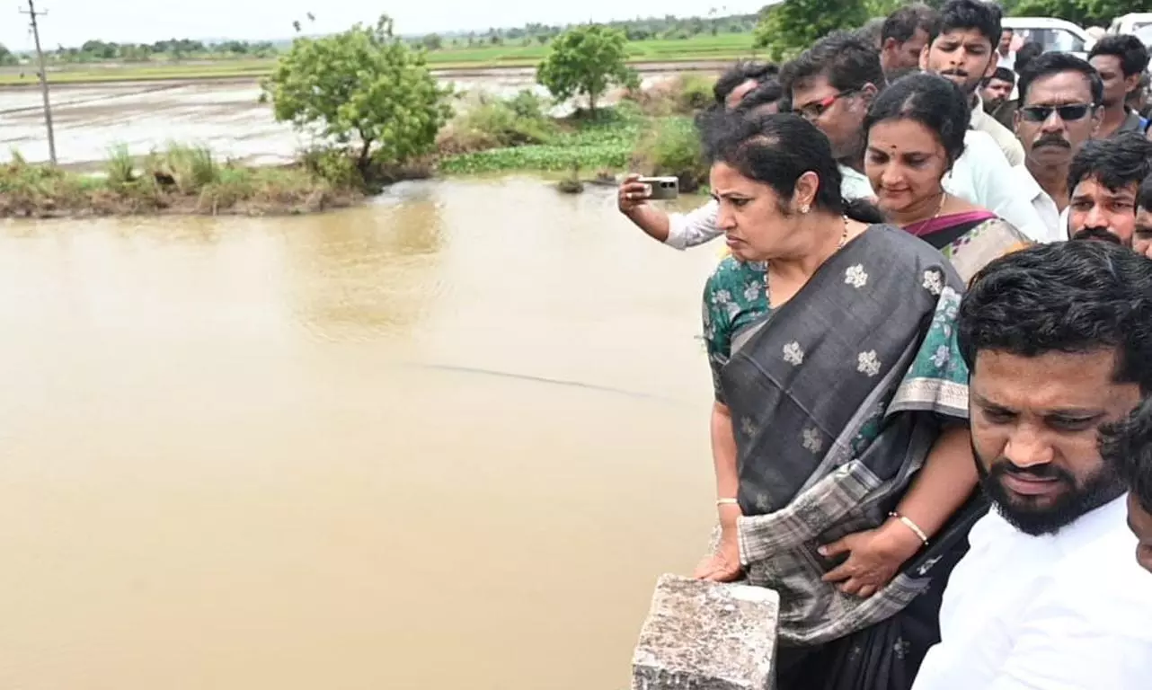 Permanent Measures Soon to Fix Inundation: Purandeswari