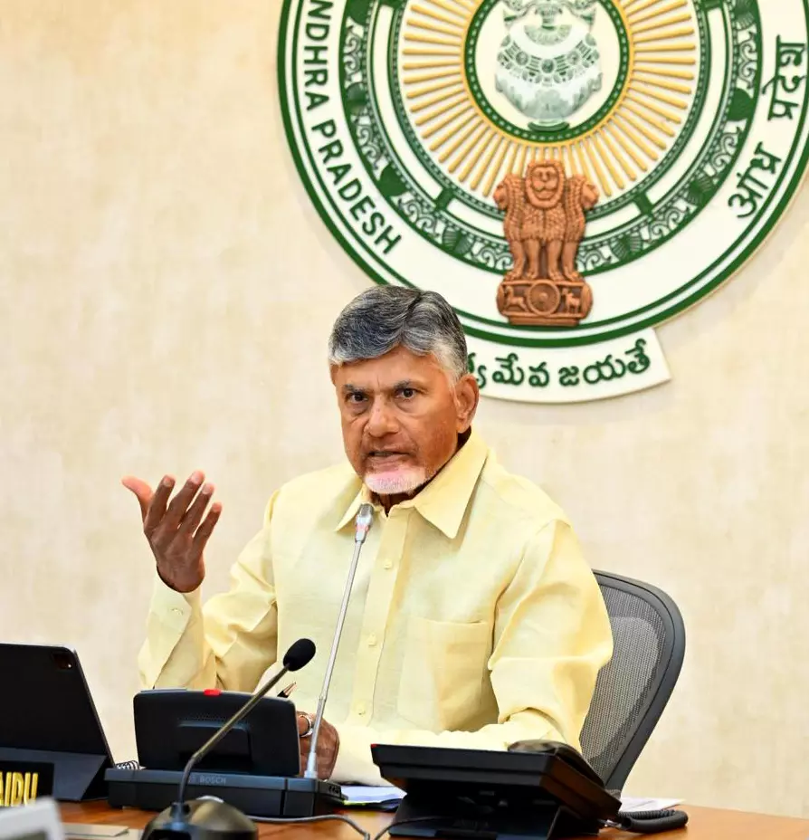 Andhra Pradesh Cabinet Amends Laws, Extends Maoist Ban