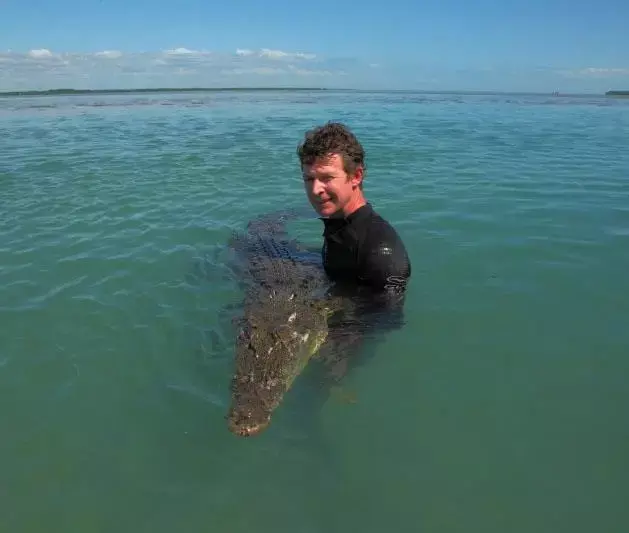 UK Crocodile Expert Jailed in Australia for Animal Cruelty and Abuse