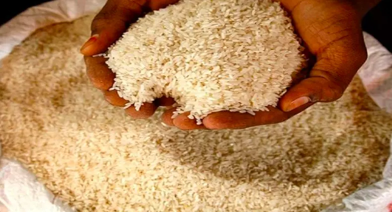 Raid Seizes 29 Quintals of PDS Foodgrains in Chandrayangutta