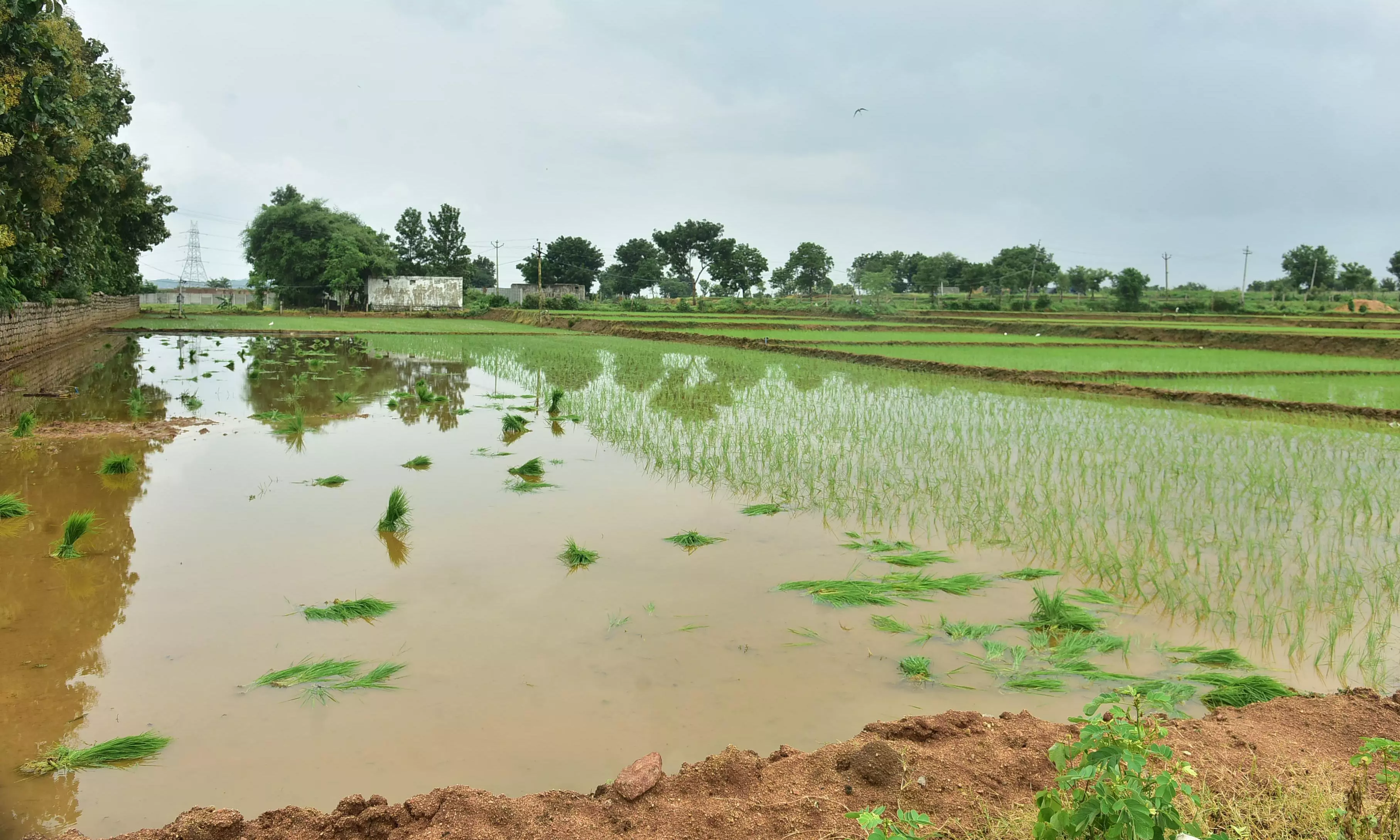 Telangana: BRS Wasted Drinking Water to Save Rich and Powerful