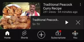 YouTuber posts peacock curry recipe, faces backlash