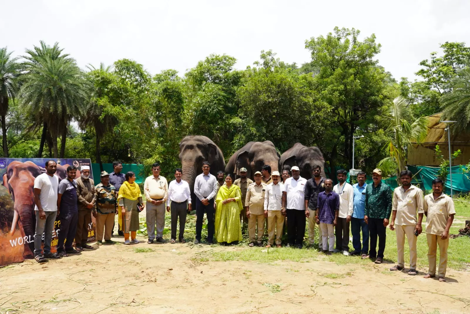 Hyderabad: Jumbos Feast at Zoo Park on World Elephant Day