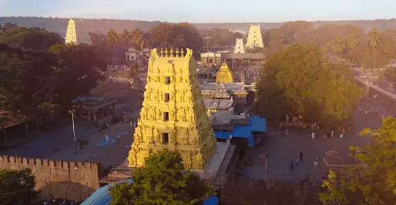 Hamsa Vahana Seva Captivates Devotees at Srisailam